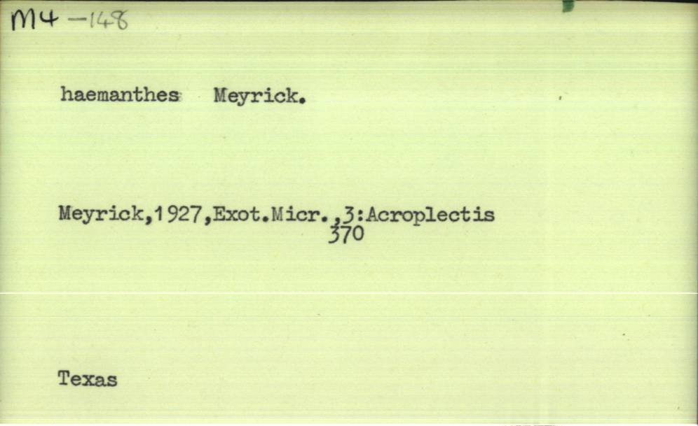 front of card
